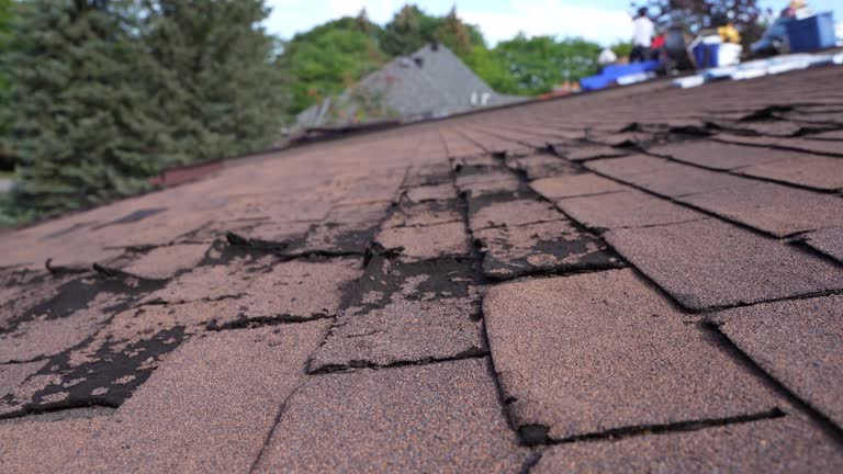 Best Roofing for New Construction  in South Haven, MI