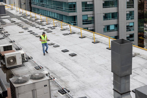 Best Sheet Metal Roofing  in South Haven, MI