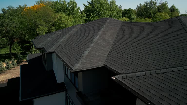 Best Solar Panel Roofing Installation  in South Haven, MI