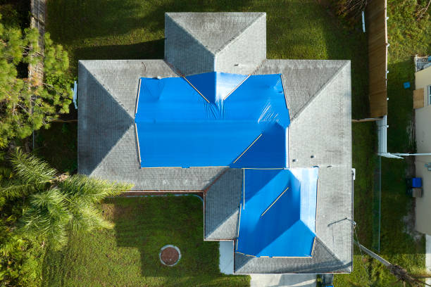Best Roof Ventilation Installation  in South Haven, MI