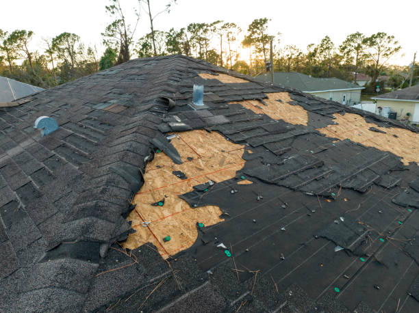 Best 4 Ply Roofing  in South Haven, MI